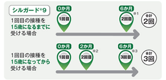 シルガード9の接種スケジュールは？