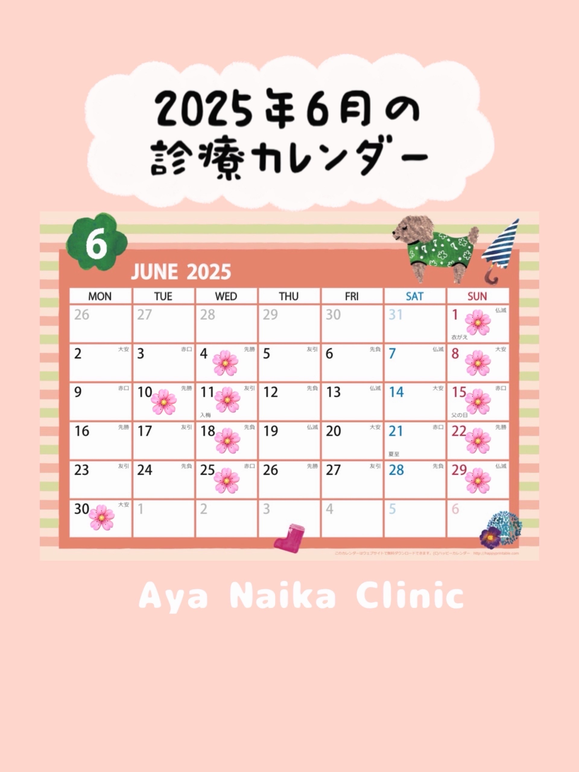6月の診療案内